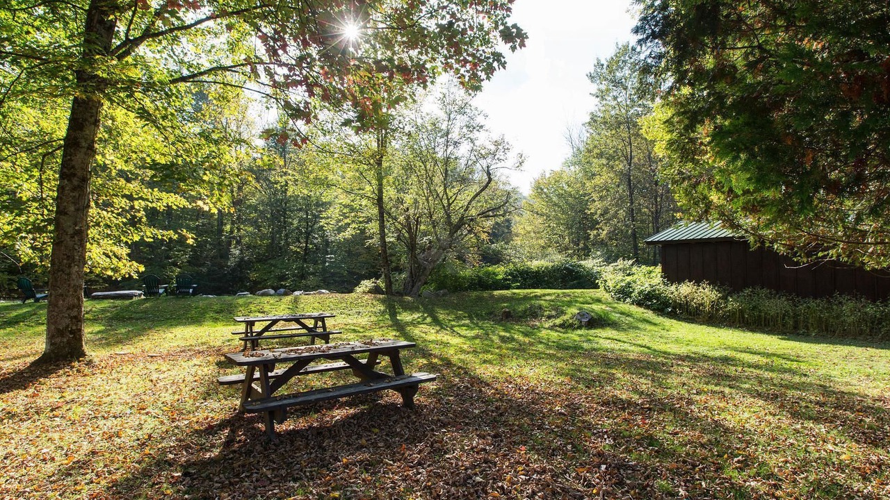 Photo of Outdoor in Stowe Area