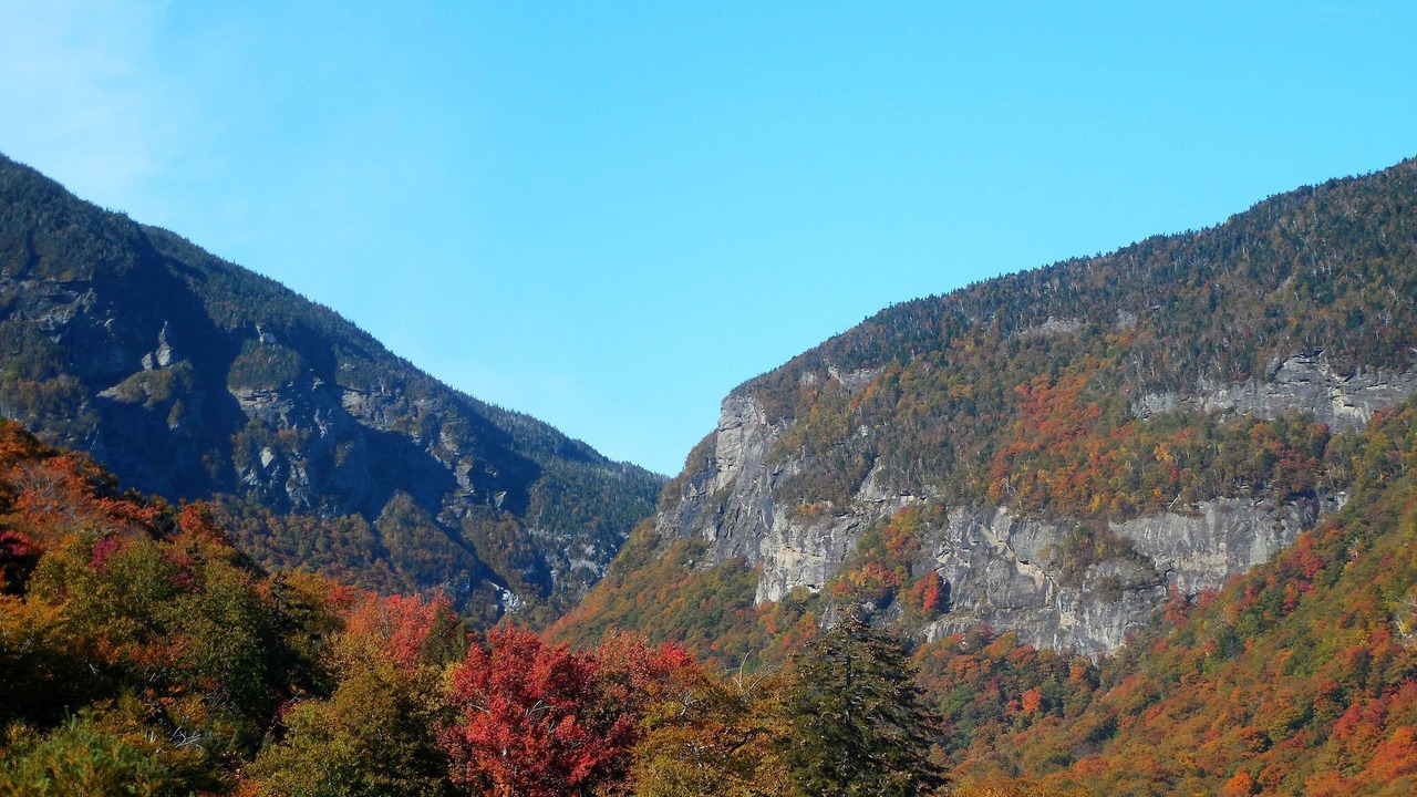Photo of Others in Stowe Area