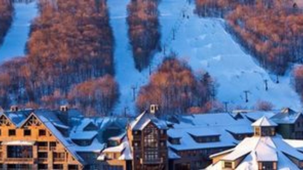 Photo of Others in Stowe Area