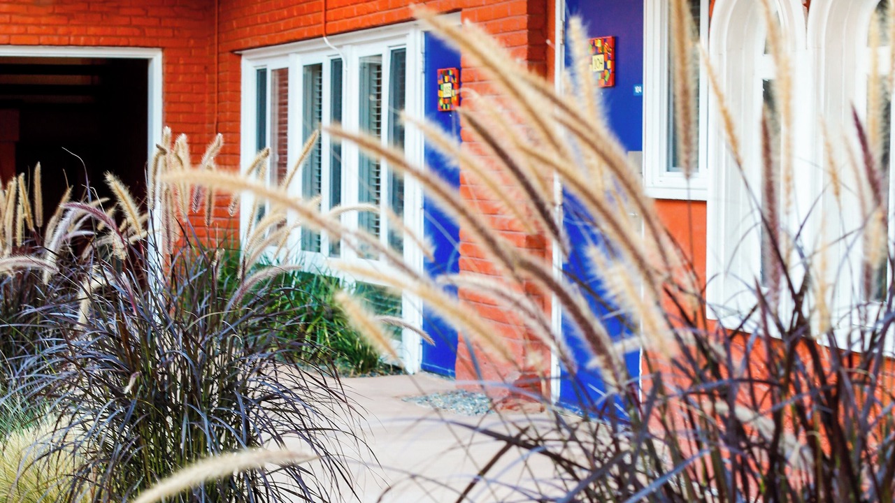 Photo of Outdoor in Cow Hollow