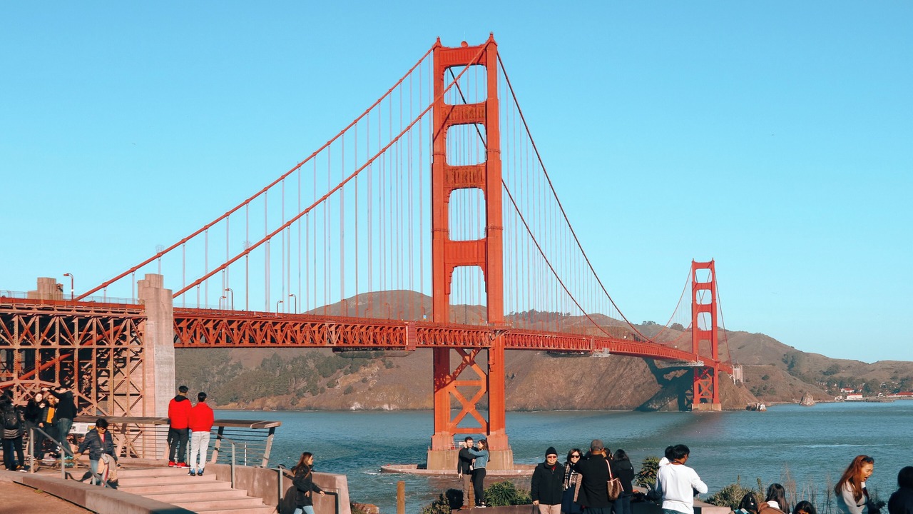 Photo of Others in Cow Hollow