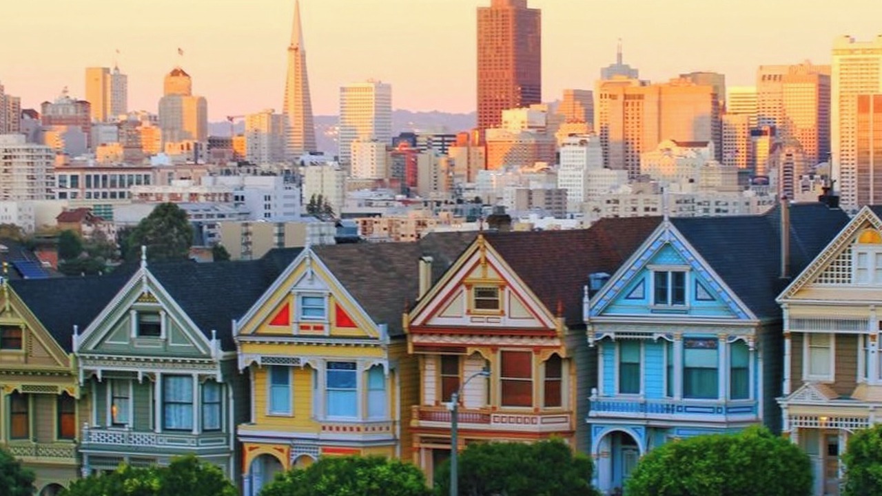 Photo of Others in Cow Hollow