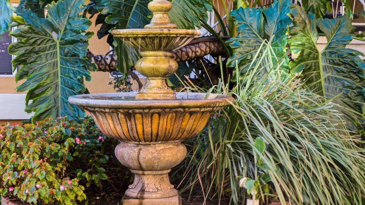 Photo of Outdoor in Del Rey