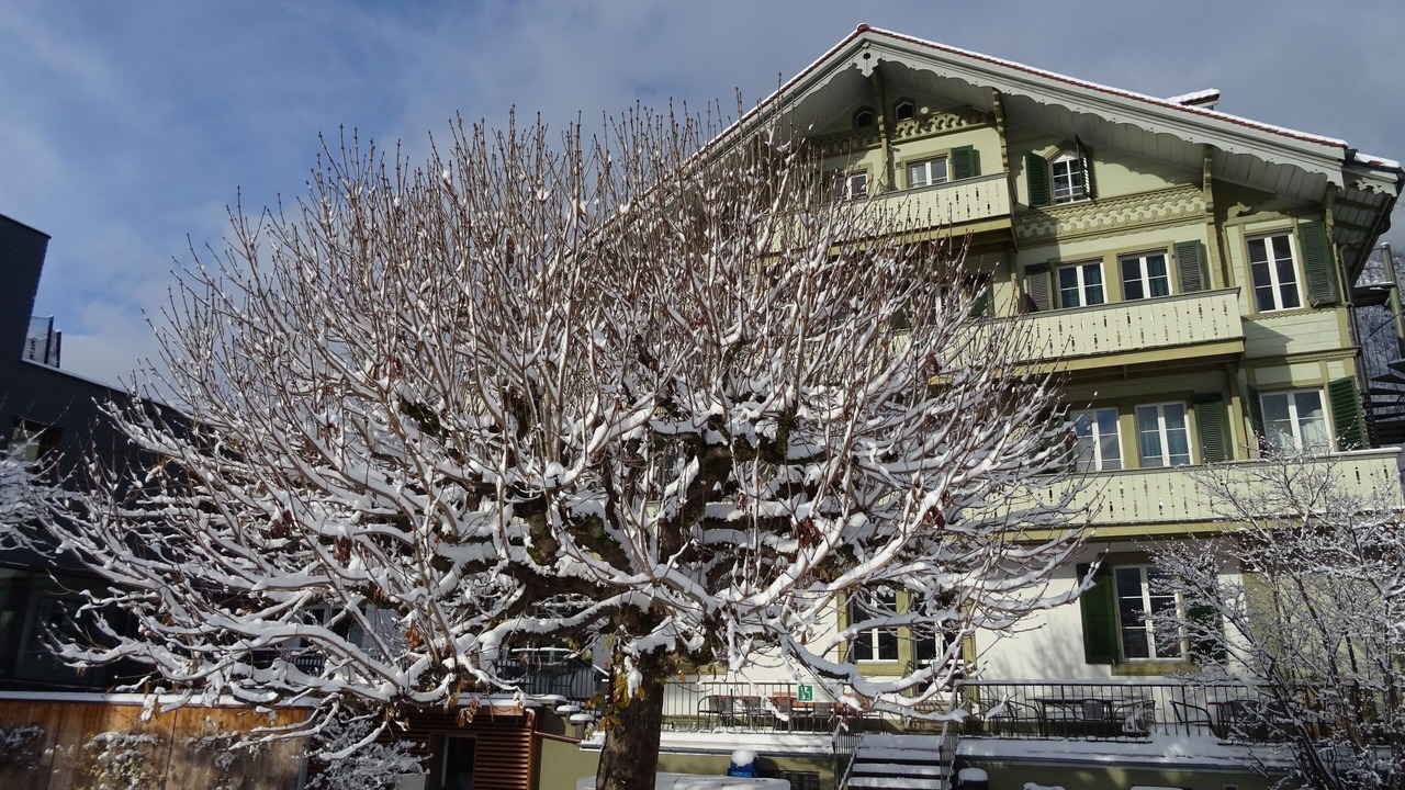 Photo of Outdoor in Central Interlaken