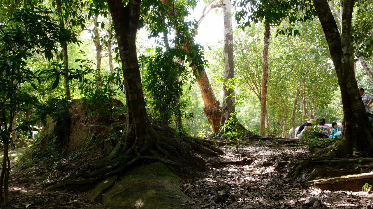 Photo of Outdoor in Quan Tom