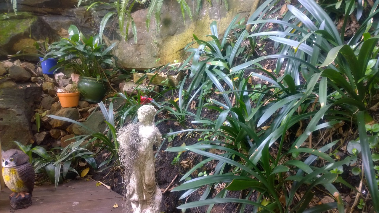 Photo of Outdoor in Linley Point