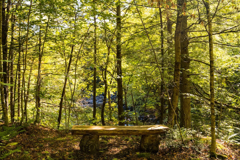 Photo of Outdoor in Bolton-Est