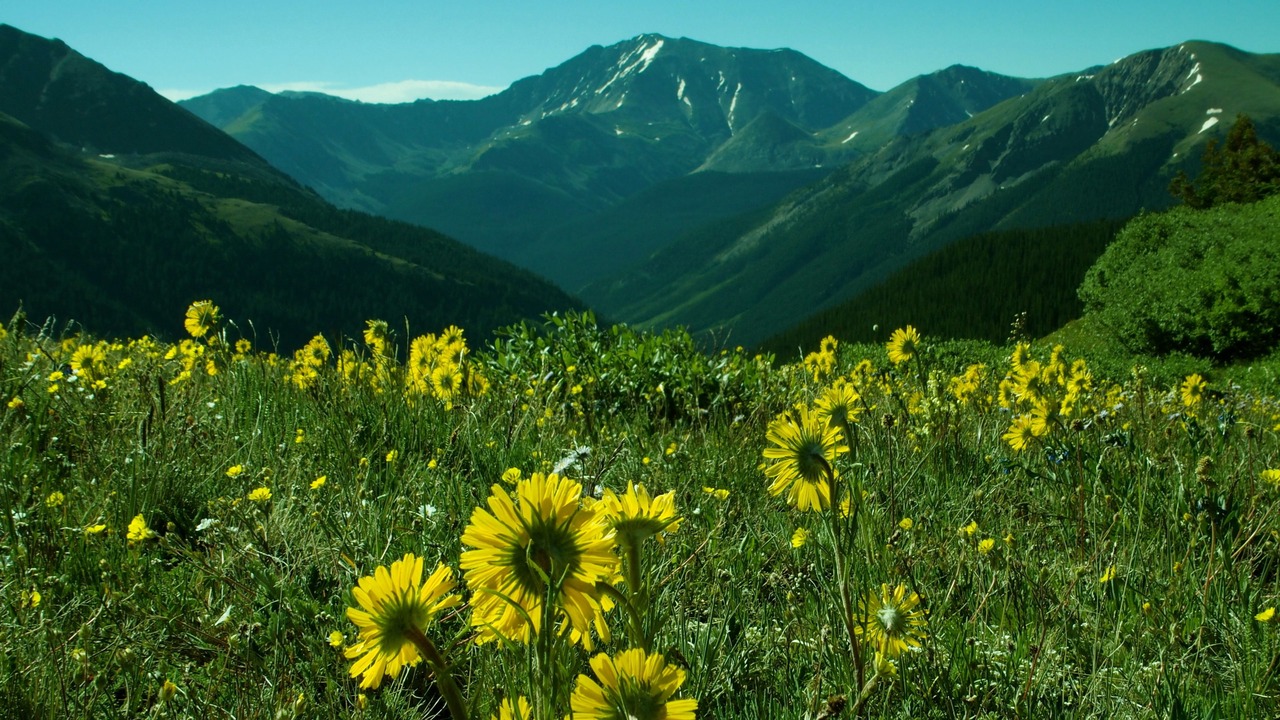 Photo of Outdoor in Aspen