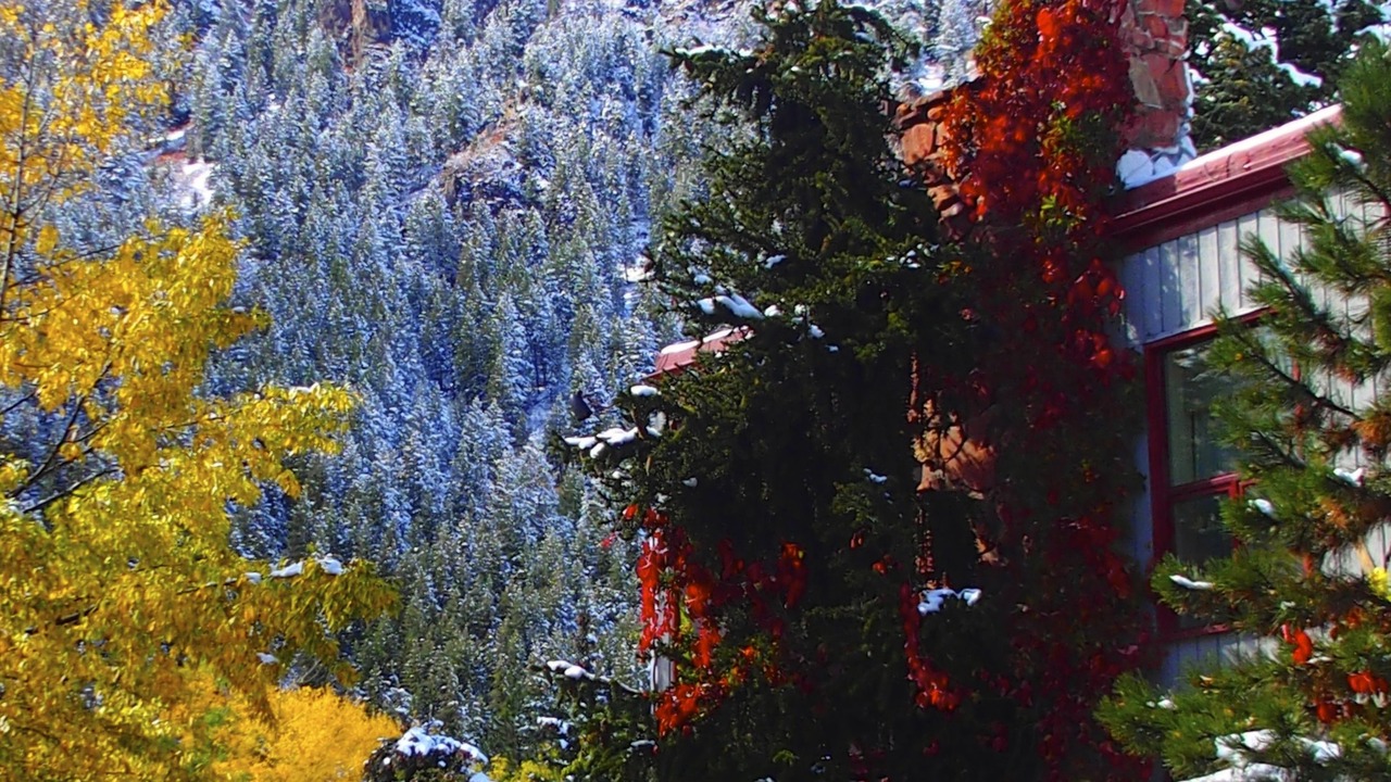 Photo of Outdoor in Aspen