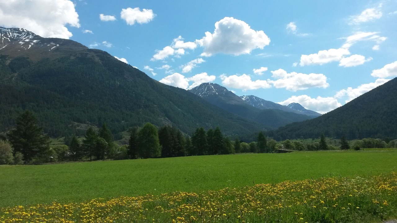Photo of Others in Zernez