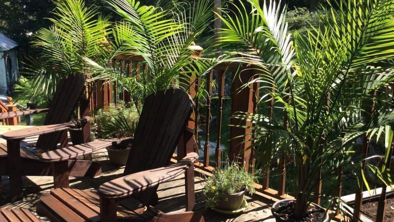 Photo of Outdoor in Sherbrooke
