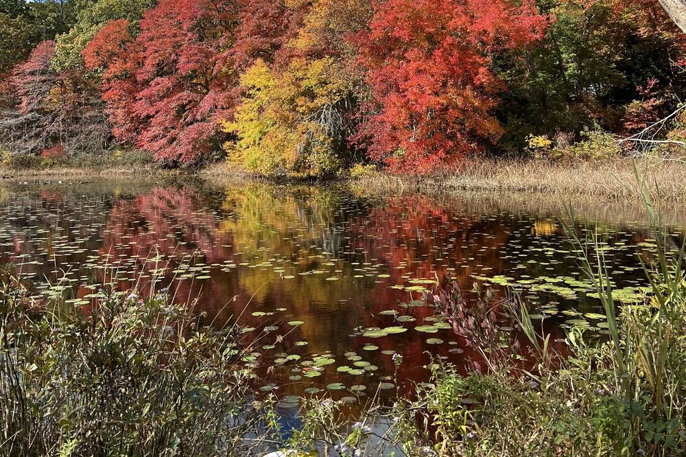 Photo of Outdoor in Riverhead