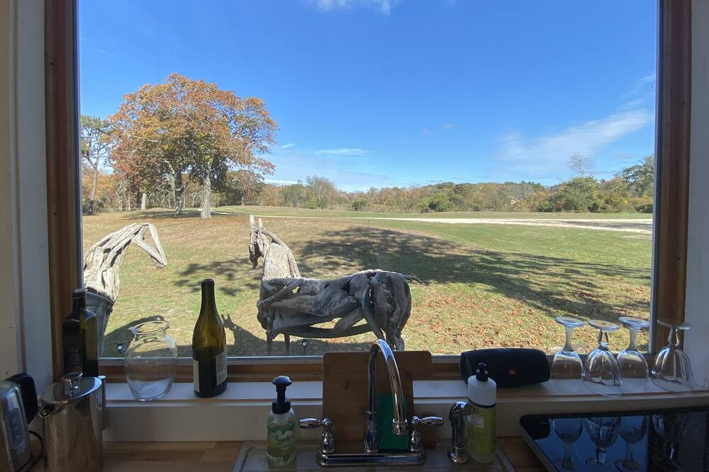 Photo of Others in Riverhead