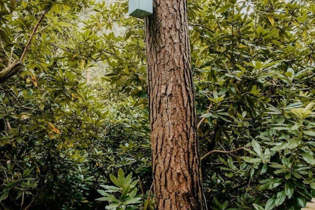 Photo of Outdoor in Mol