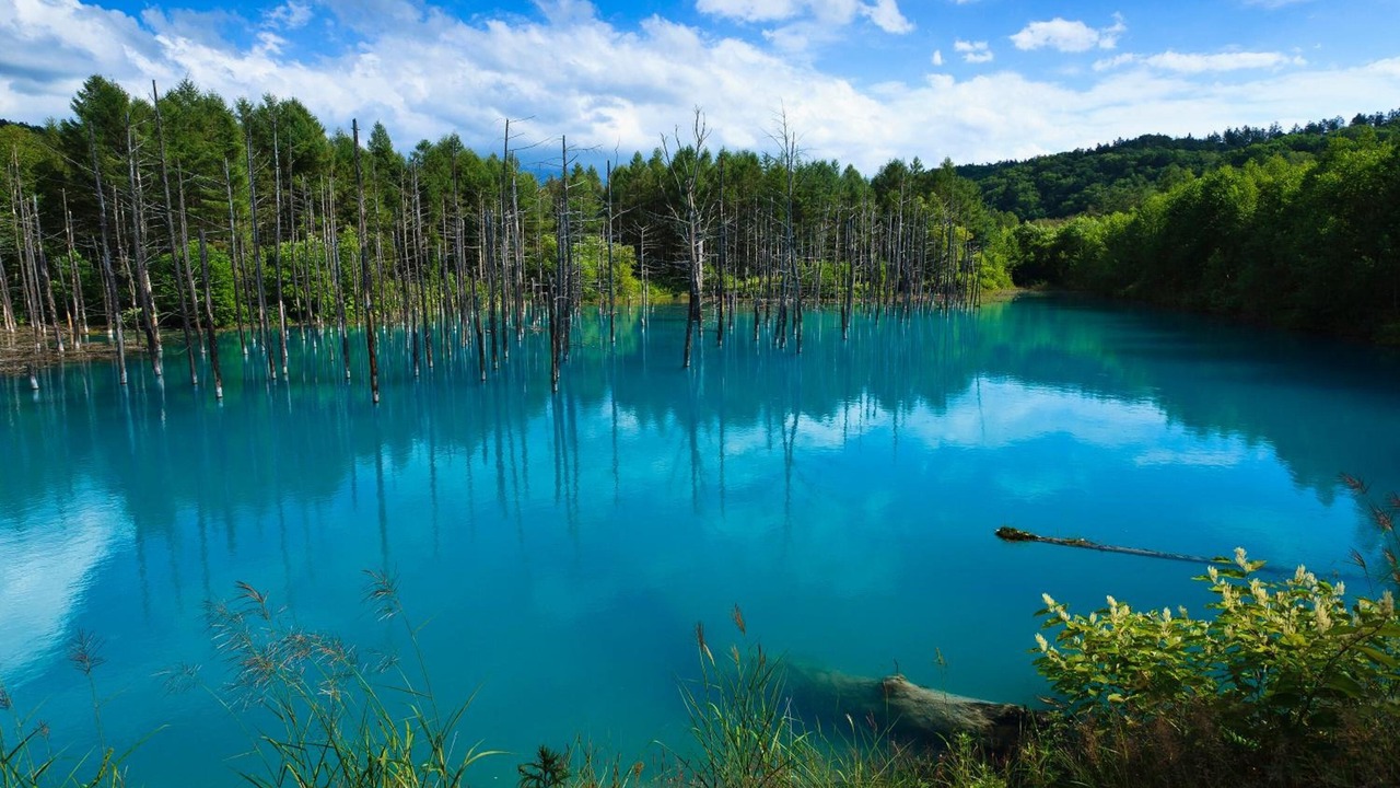 Photo of Outdoor in Kamifurano