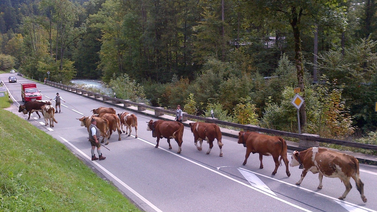 Photo of Others in Ramsau bei Berchtesgaden