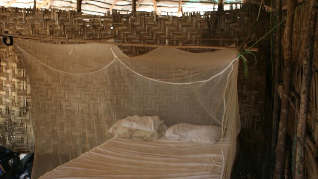 Photo of Bedroom in Banana Islands