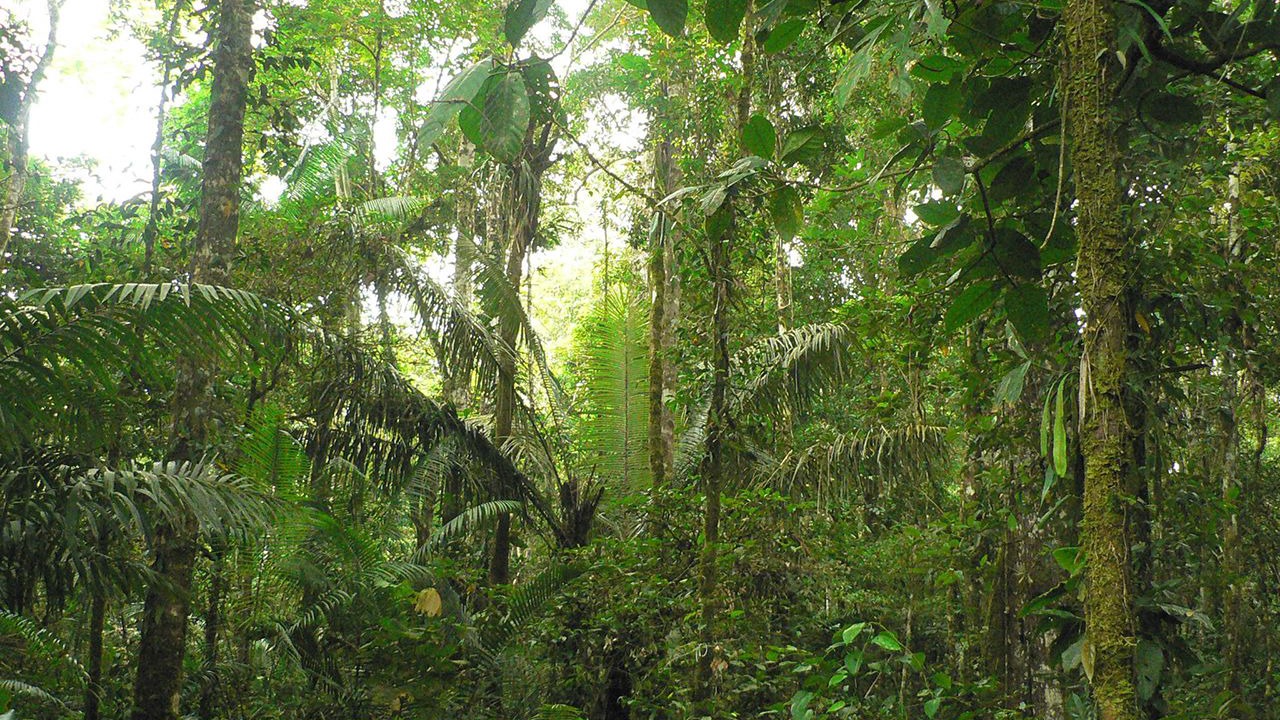 Photo of Others in Banana Islands