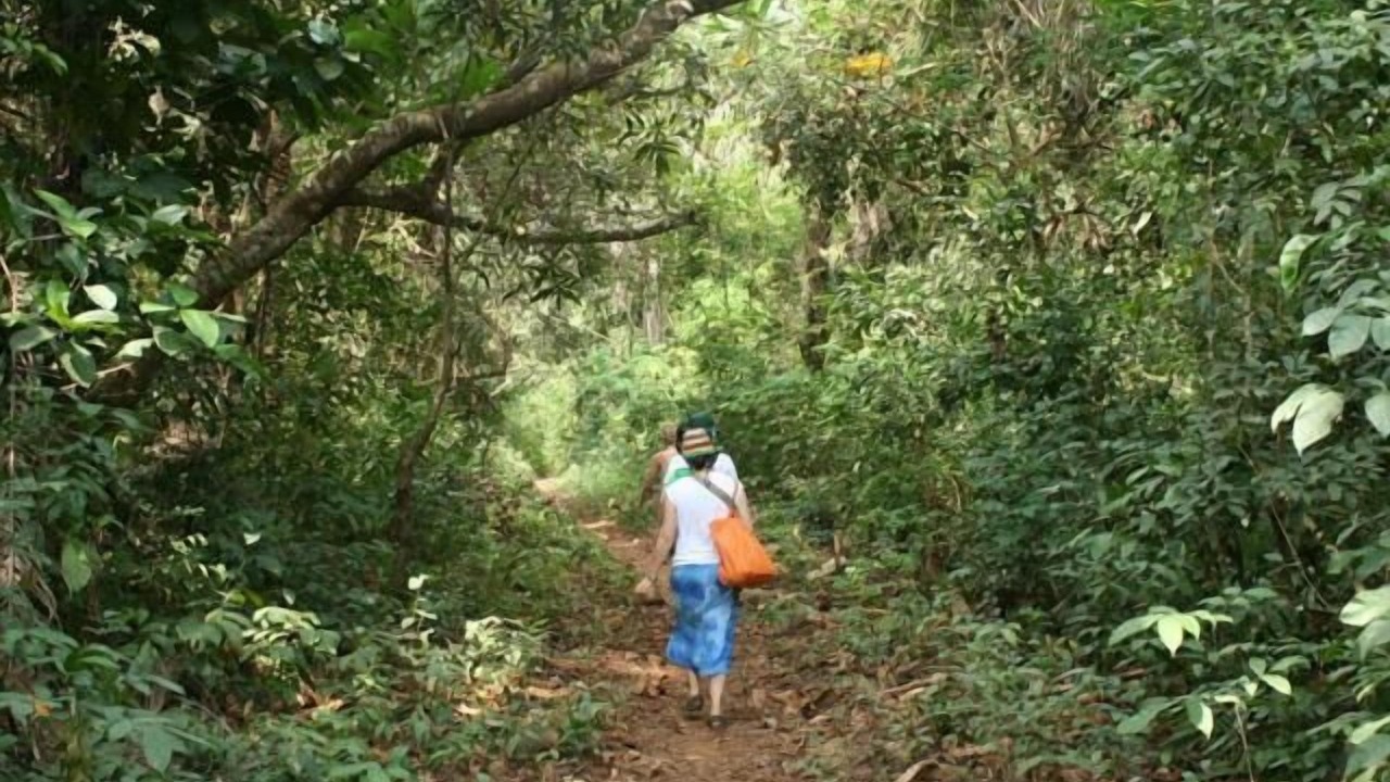 Photo of Outdoor in Banana Islands