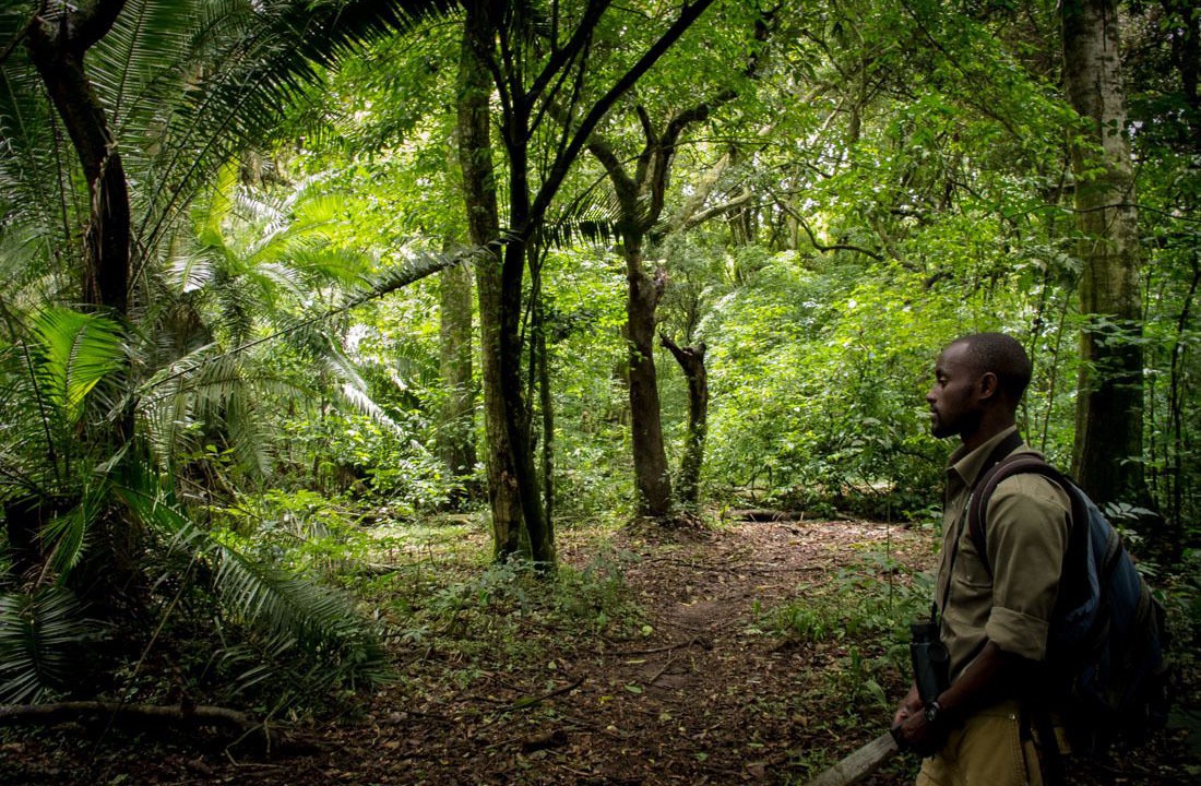 Photo of Outdoor in Banana Islands