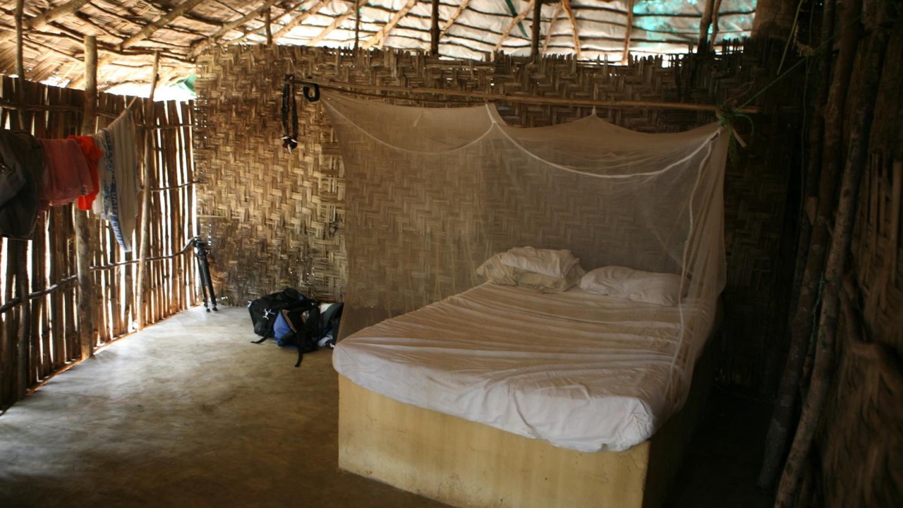Photo of Bedroom in Banana Islands