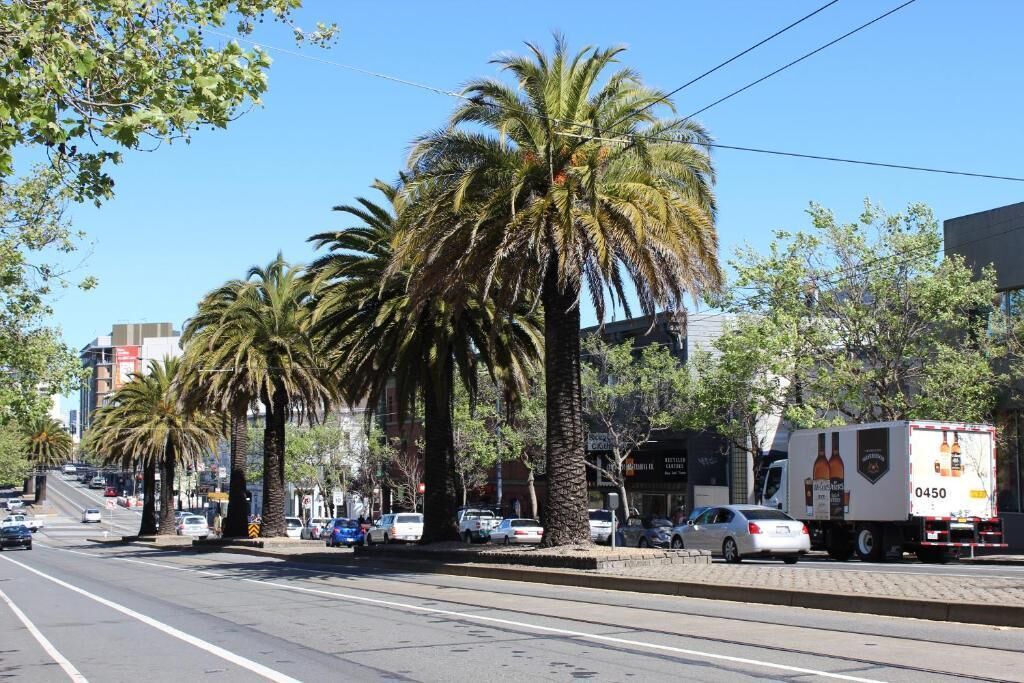 Photo of Others in Duboce Triangle