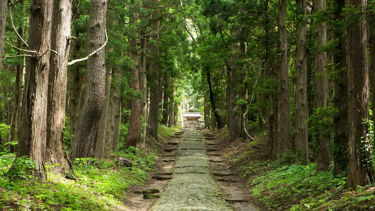 Photo of Outdoor in Inawashiro