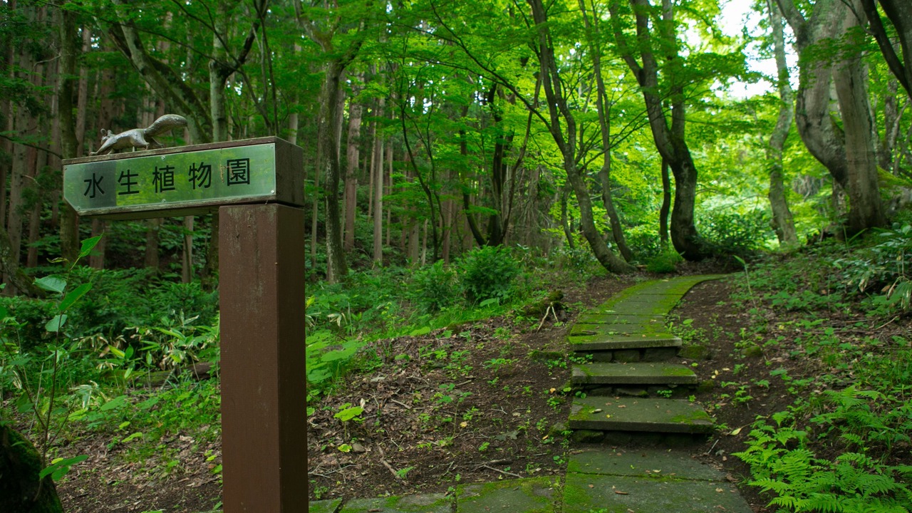 Photo of Outdoor in Inawashiro