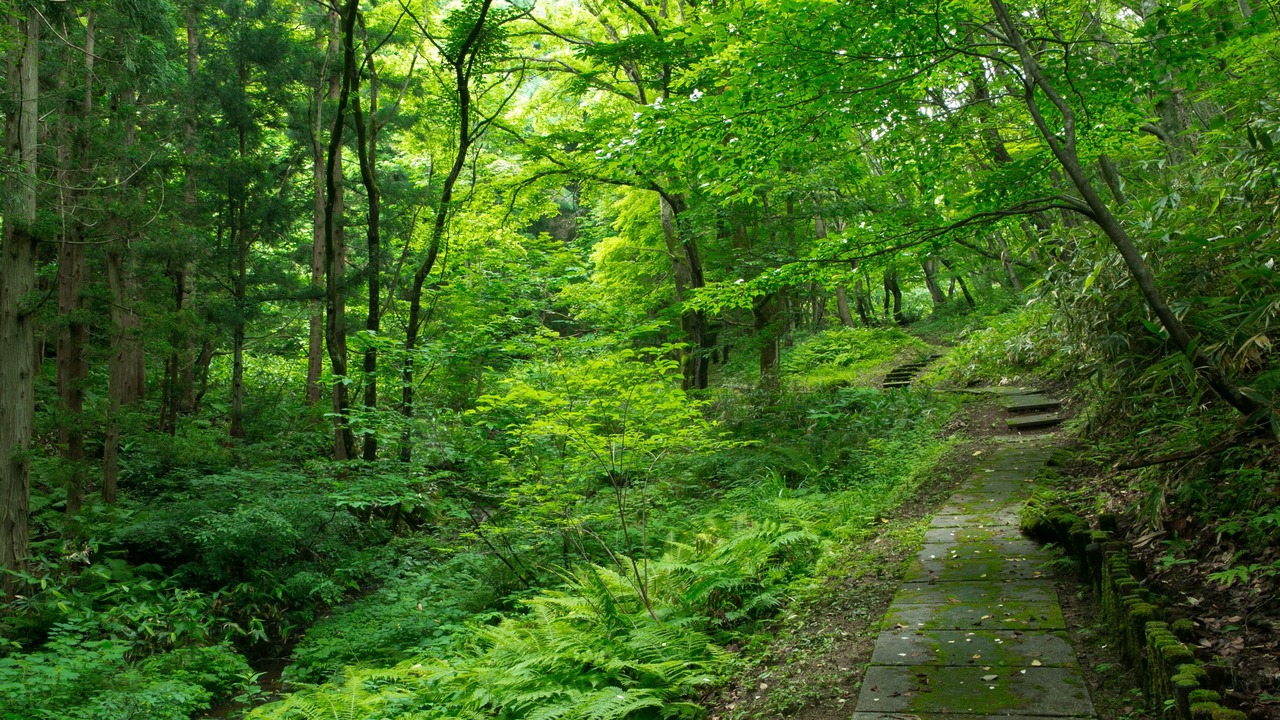 Photo of Outdoor in Inawashiro