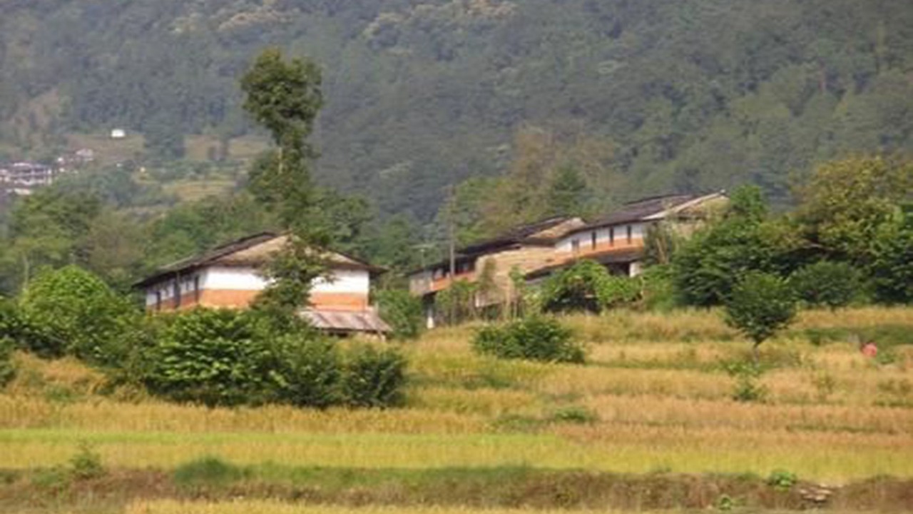 Photo of Others in Dhampus
