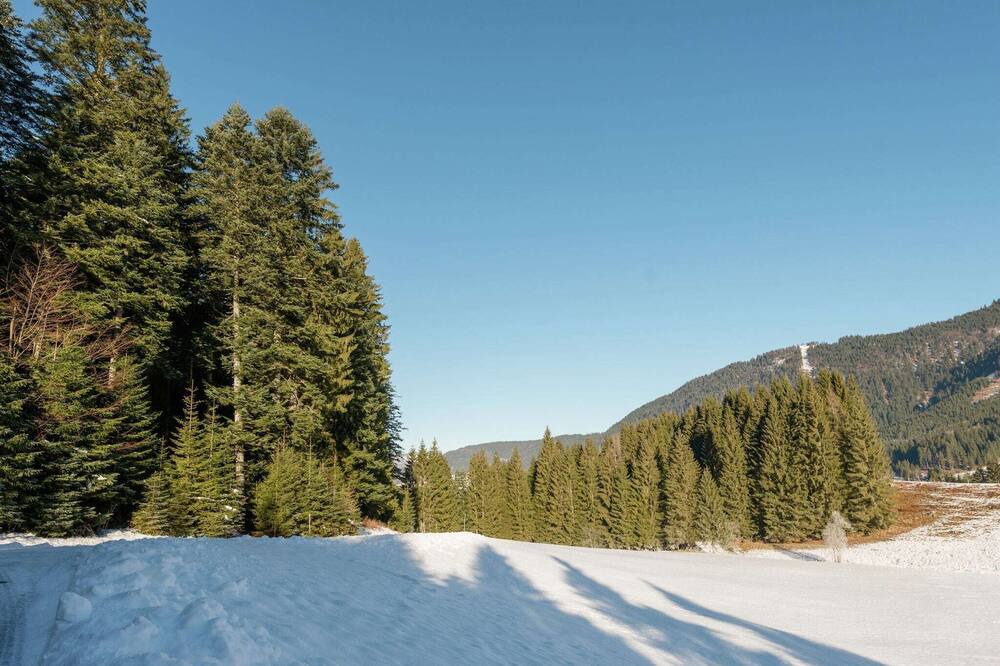 Photo of Others in Annaberg im Lammertal