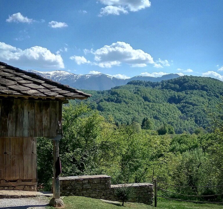 Photo of Others in Selishte
