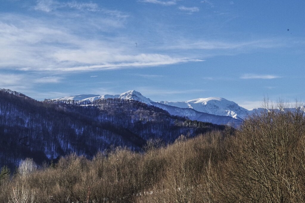 Photo of Others in Selishte