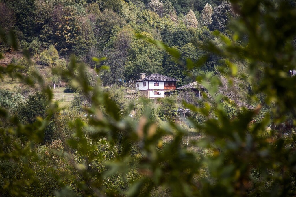 Photo of Others in Selishte