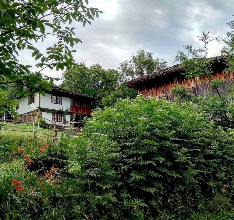 Photo of Others in Selishte