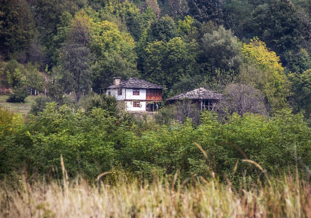 Photo of Others in Selishte