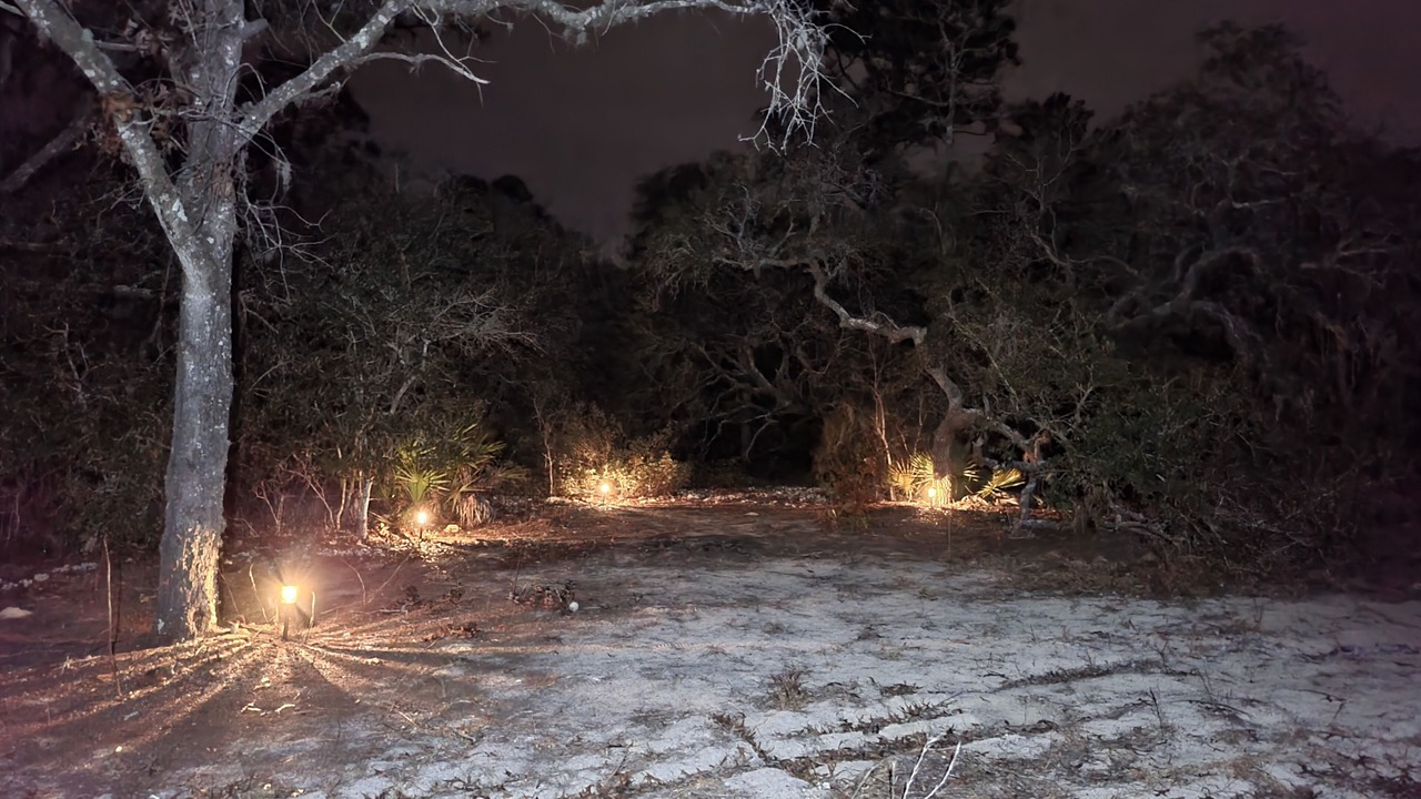 Photo of Outdoor in Citrus Springs