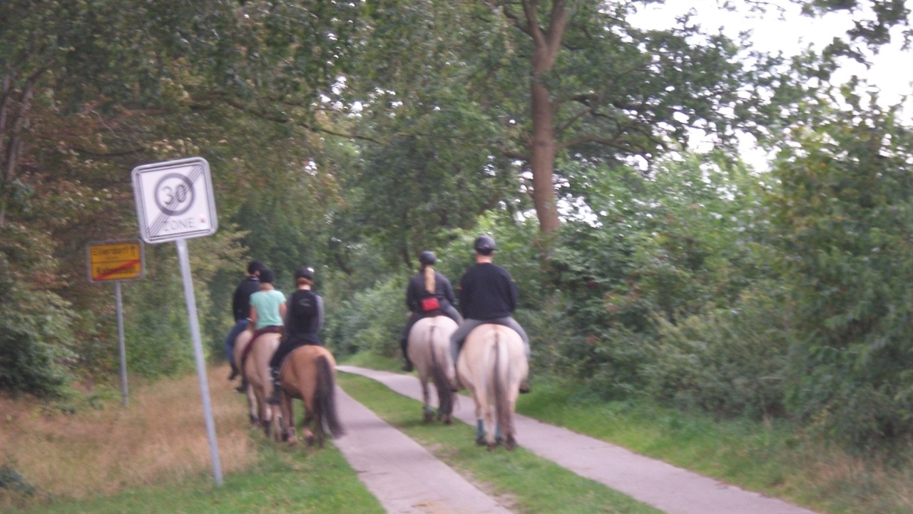 Photo of Others in Groß Vollstedt
