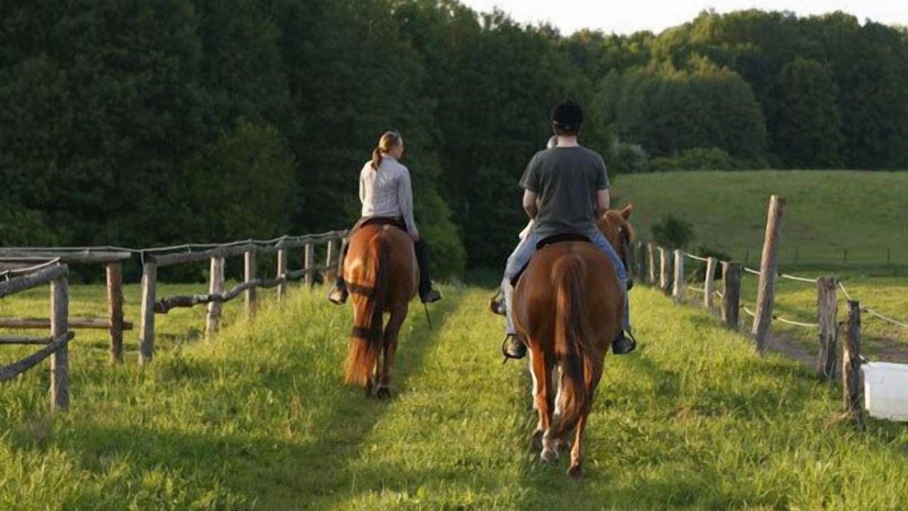 Photo of Outdoor in Schorfheide