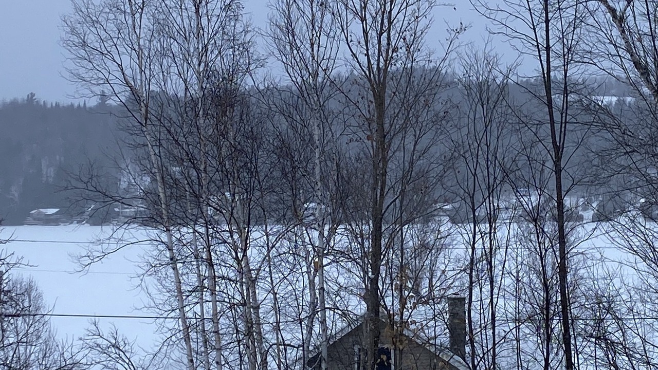 Photo of Outdoor in Glover