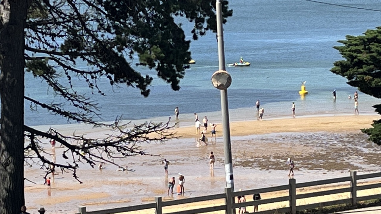 Photo of Others in Powlett River