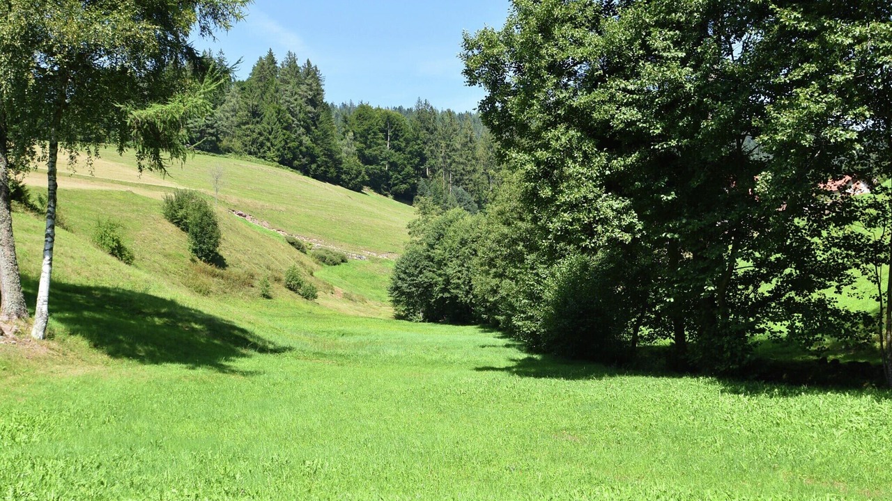 Photo of Others in Obertal