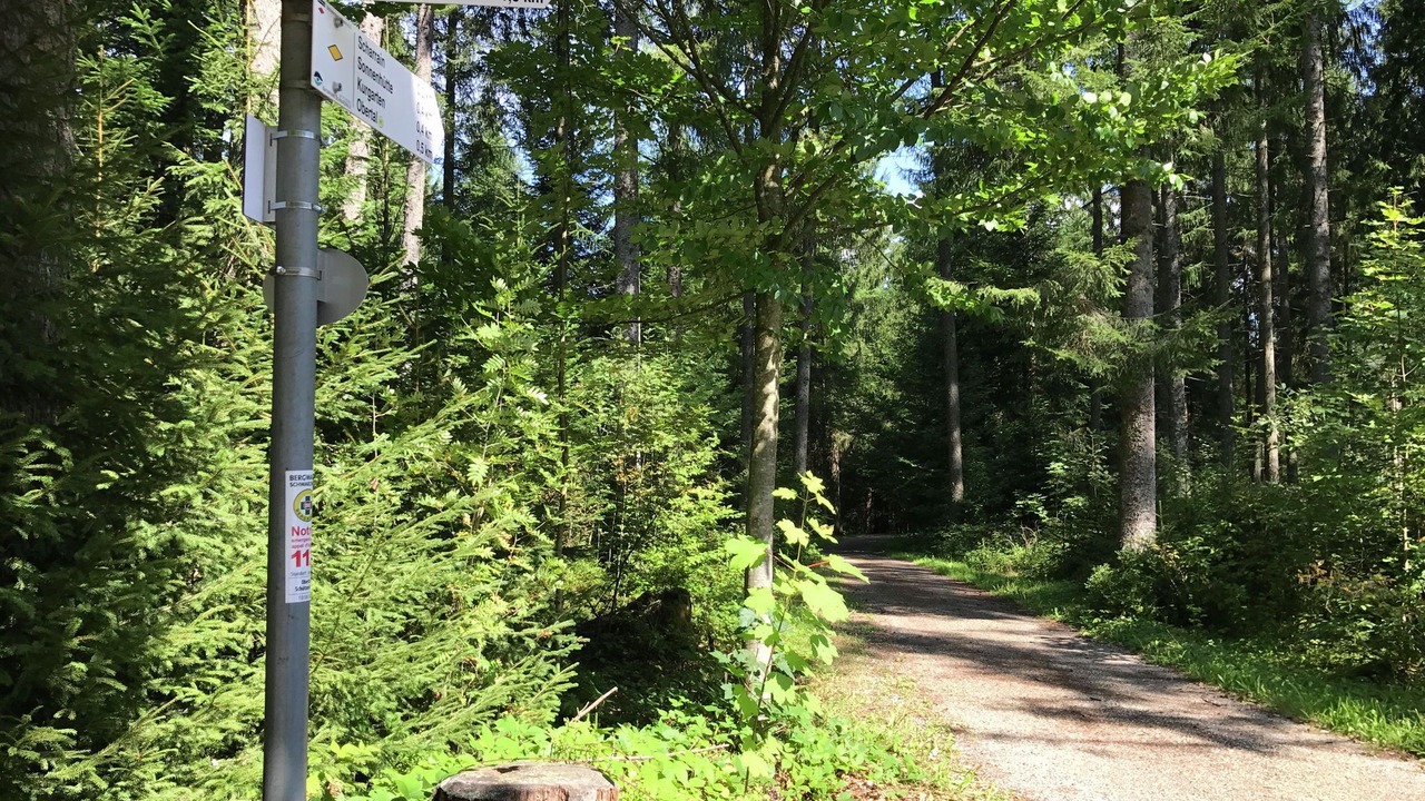 Photo of Others in Obertal
