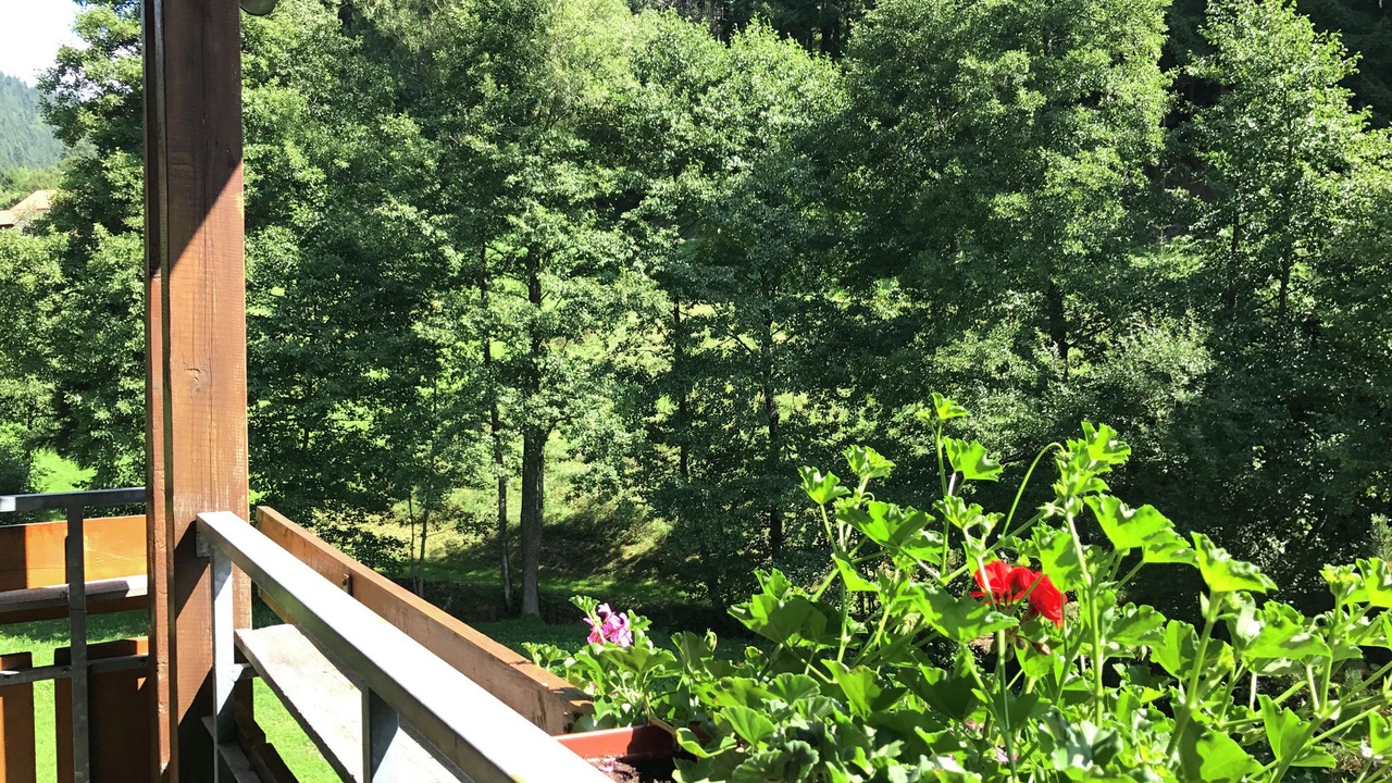 Photo of Patio Balcony in Obertal