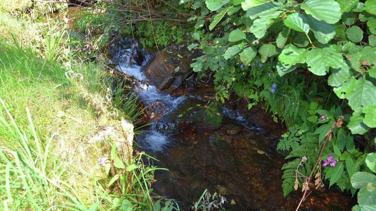 Photo of Others in Obertal