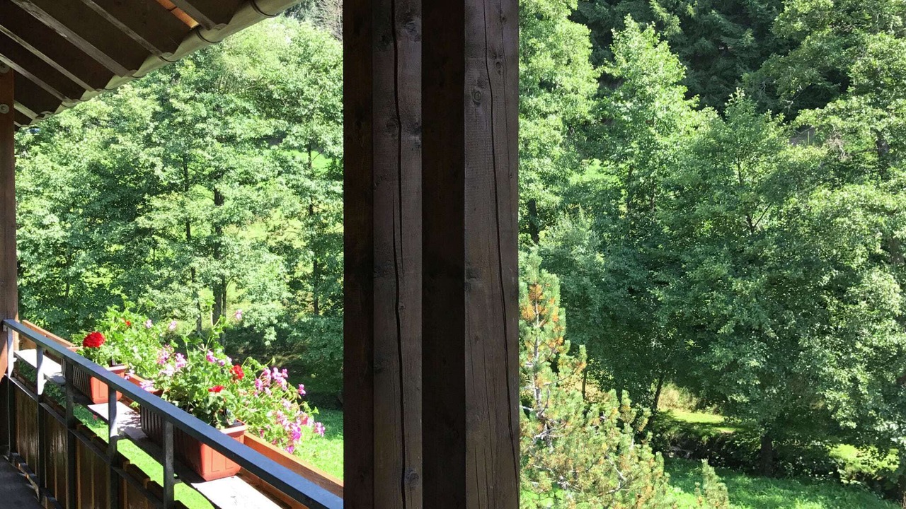 Photo of Patio Balcony in Obertal