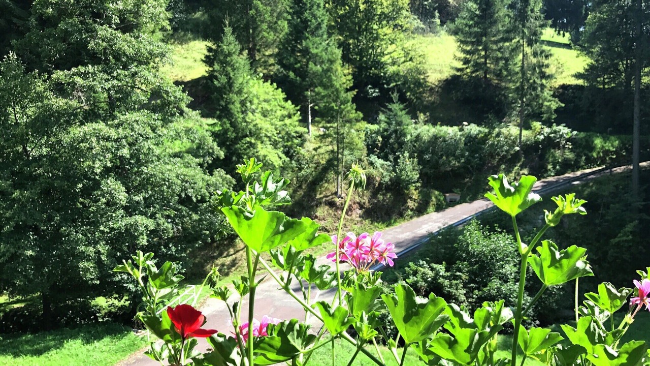 Photo of Others in Obertal