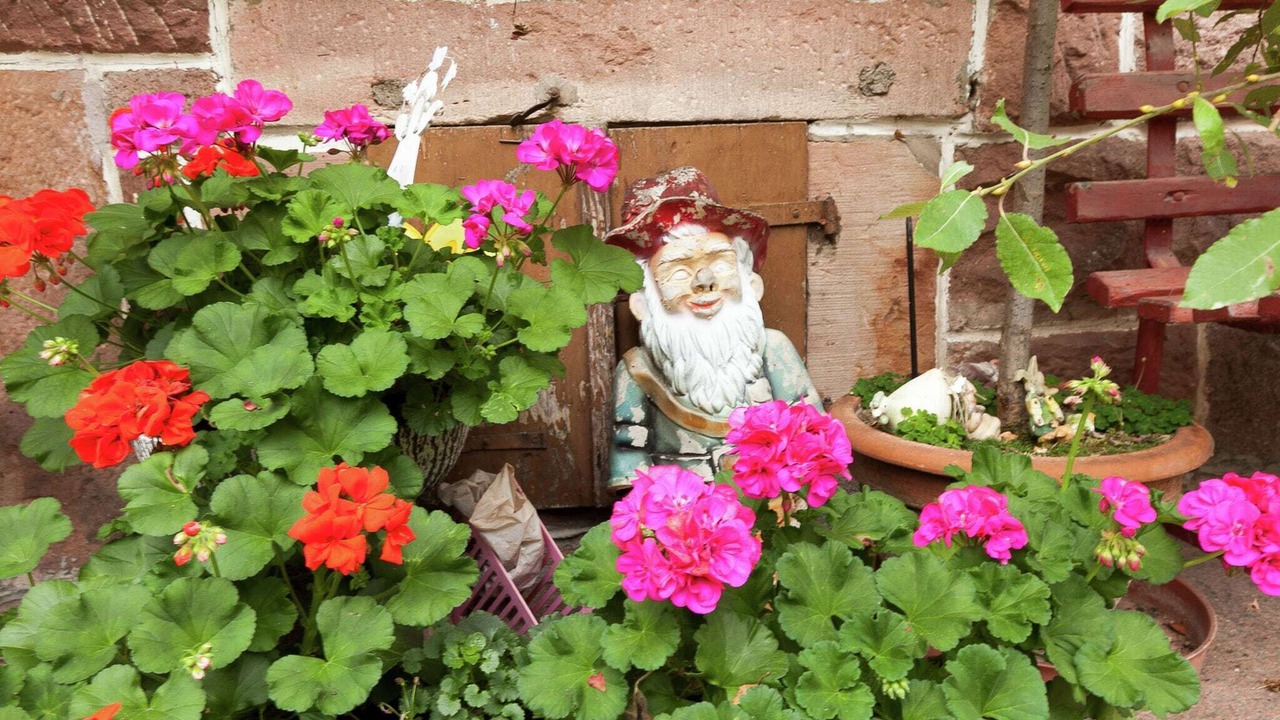 Photo of Others in Obertal