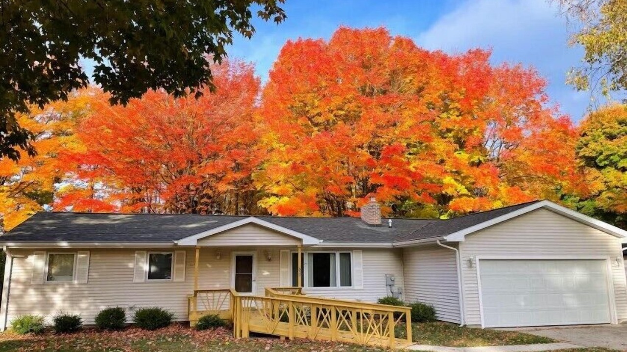 Photo of Outdoor in Frankfort