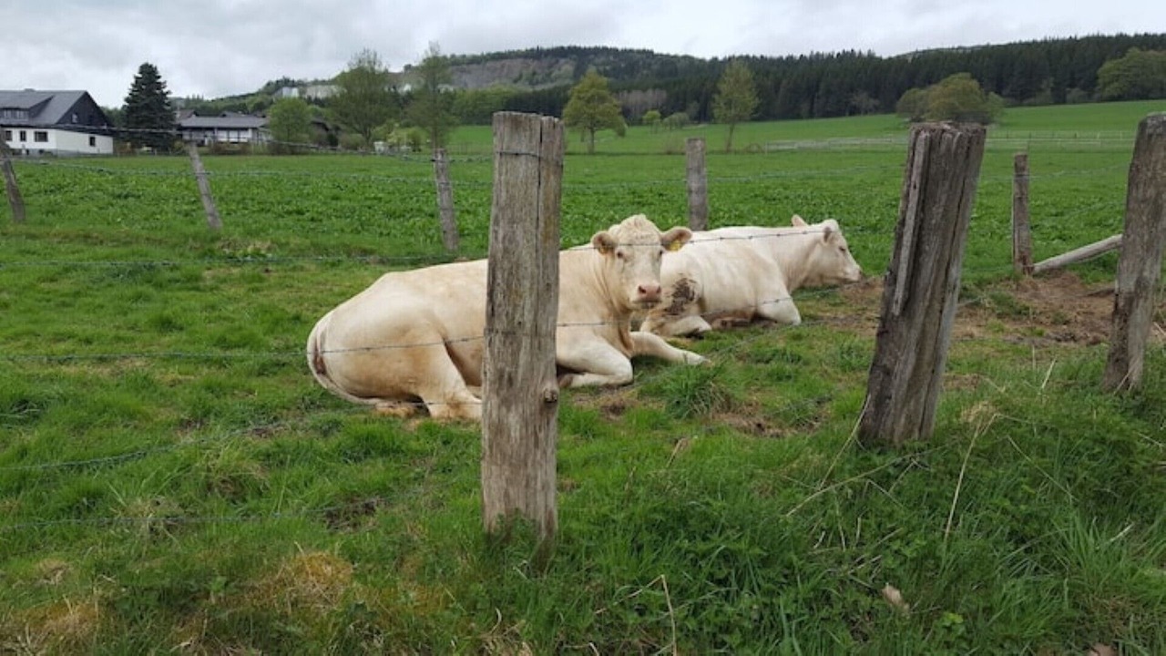 Photo of Outdoor in Hildfeld